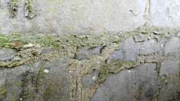 acastle
                          105275.jpg
